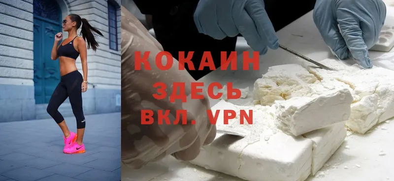 Cocaine Эквадор  mega рабочий сайт  Пудож 